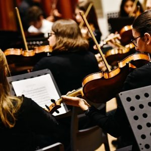 Los instrumentos musicales de una orquesta sinfónica