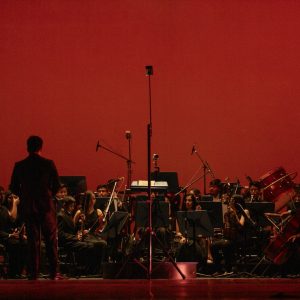 La orquesta sinfónica: secciones y número de componentes