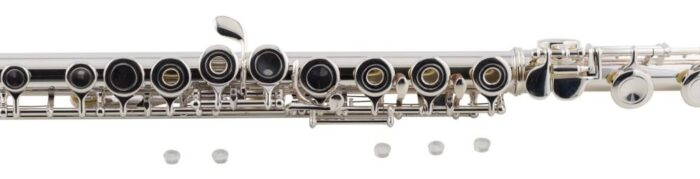 FLAUTA AMADEUS FL805SO - Imagen 2